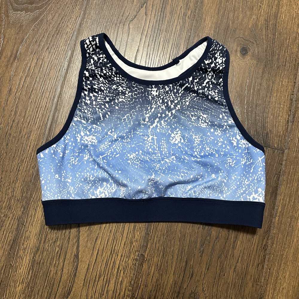 Navy and Light Blue Women's Champion Sports Bra - Size Large